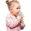 image:imageWicked Toy Microphone for Kids Includes Builtin Music and Lights Ideal Toddler Toys WickedBluey