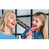 image:imageWicked Toy Microphone for Kids Includes Builtin Music and Lights Ideal Toddler Toys WickedGabbys Dollhouse